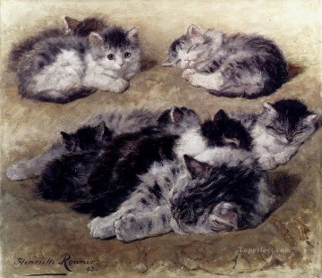  Henri Pintura al %C3%B3leo - Un estudio sobre gatos animal gato Henriette Ronner Knip